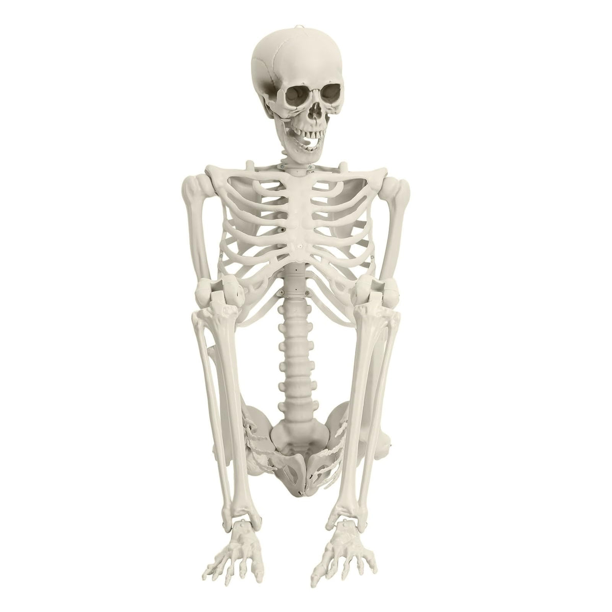 5.4FT Posable Skeleton E494869