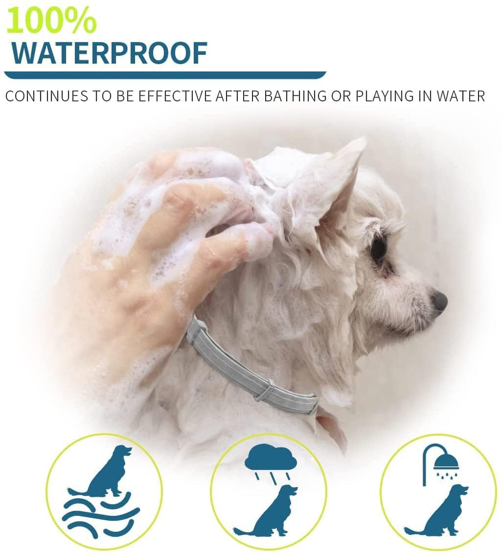 Flea and Tick Collar for Small Dogs, 15.5inch, 8 Month Protection, Gray P58718
