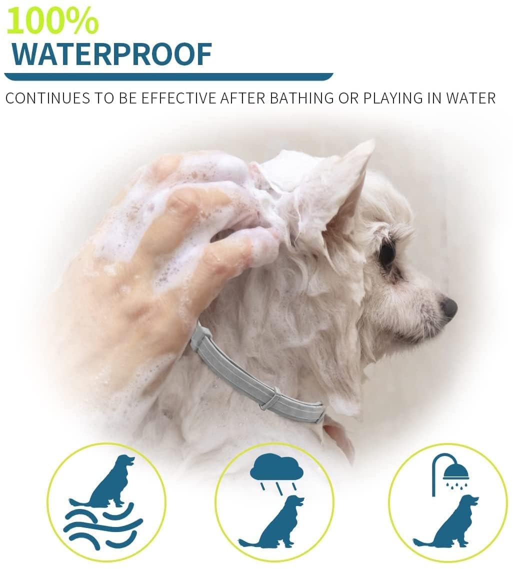 Flea and Tick Collar for Small Dogs, 15.5inch, 8 Month Protection, Gray P58718