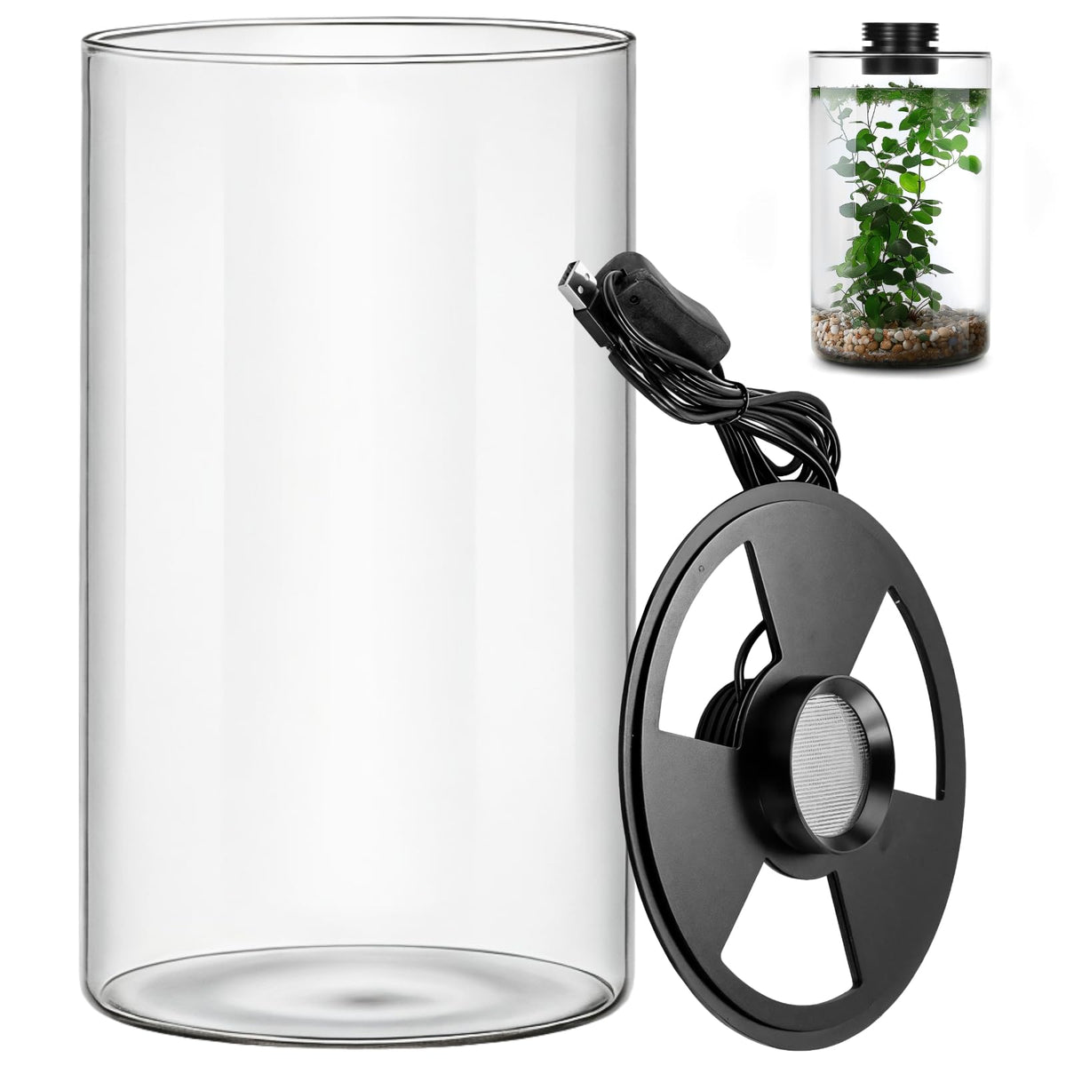Glass Plant Terrarium with Grow Light 10 X 6IN N8529