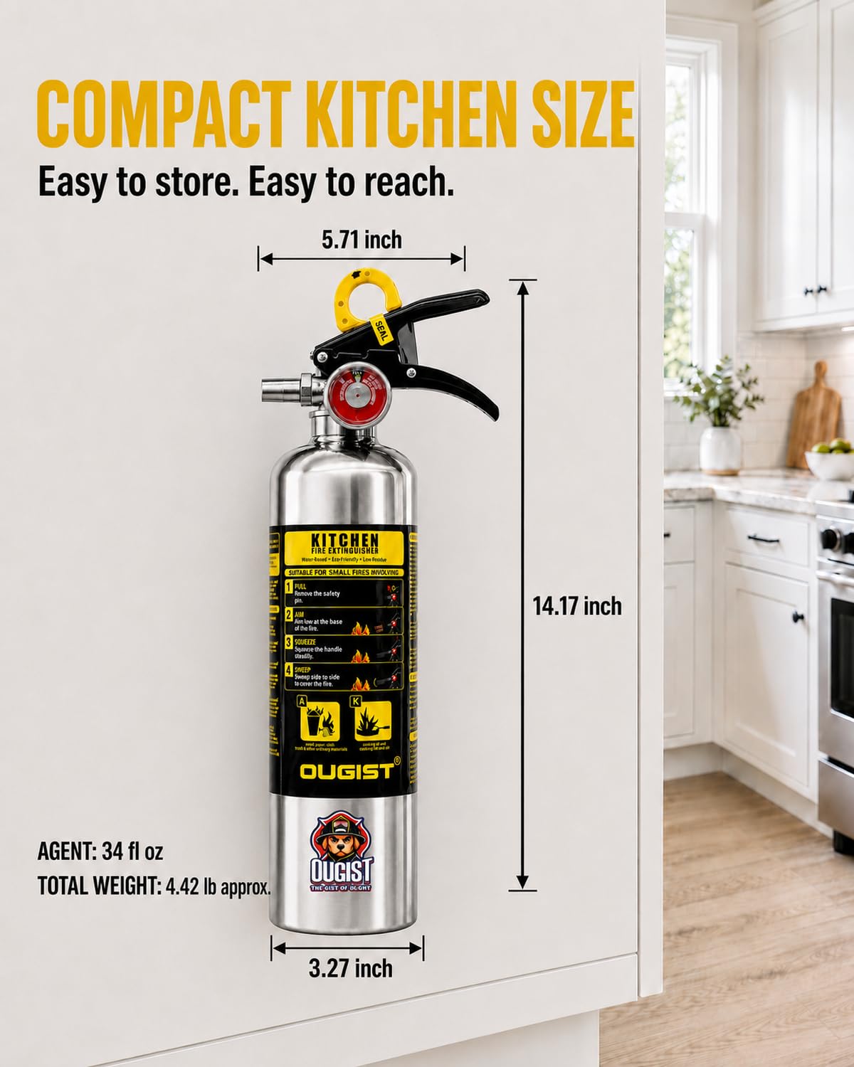 Class K Fire Extinguisher 34 Fl Oz Wet Chemical K125651