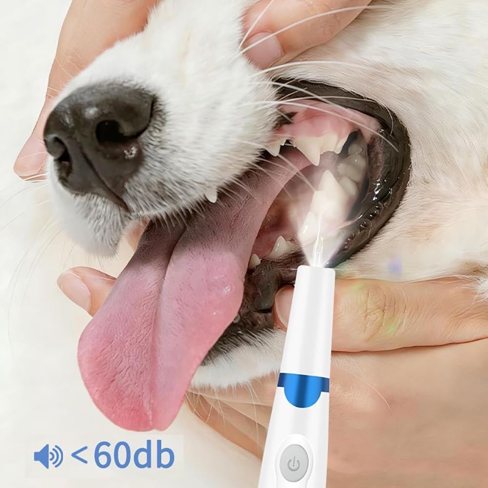Pet Ultrasonic Tooth Cleaner with 3 Adjustable Modes B4860