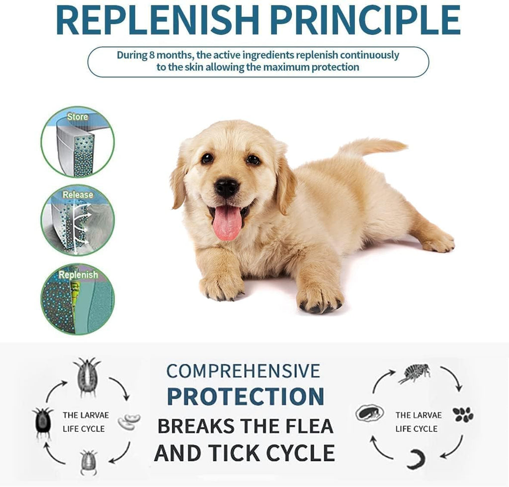 Flea and Tick Collar for Small Dogs, 15.5inch, 8 Month Protection, Gray P58718