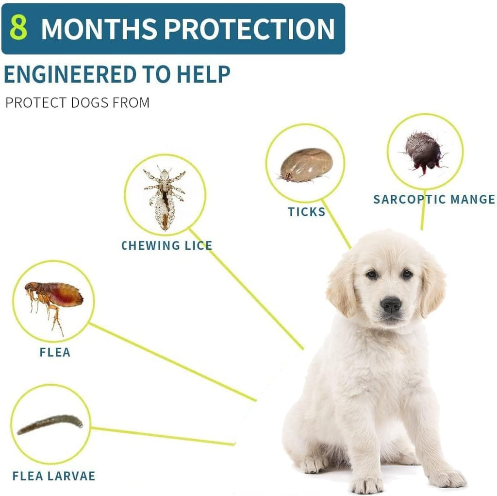 Flea and Tick Collar for Small Dogs, 15.5inch, 8 Month Protection, Gray P58718