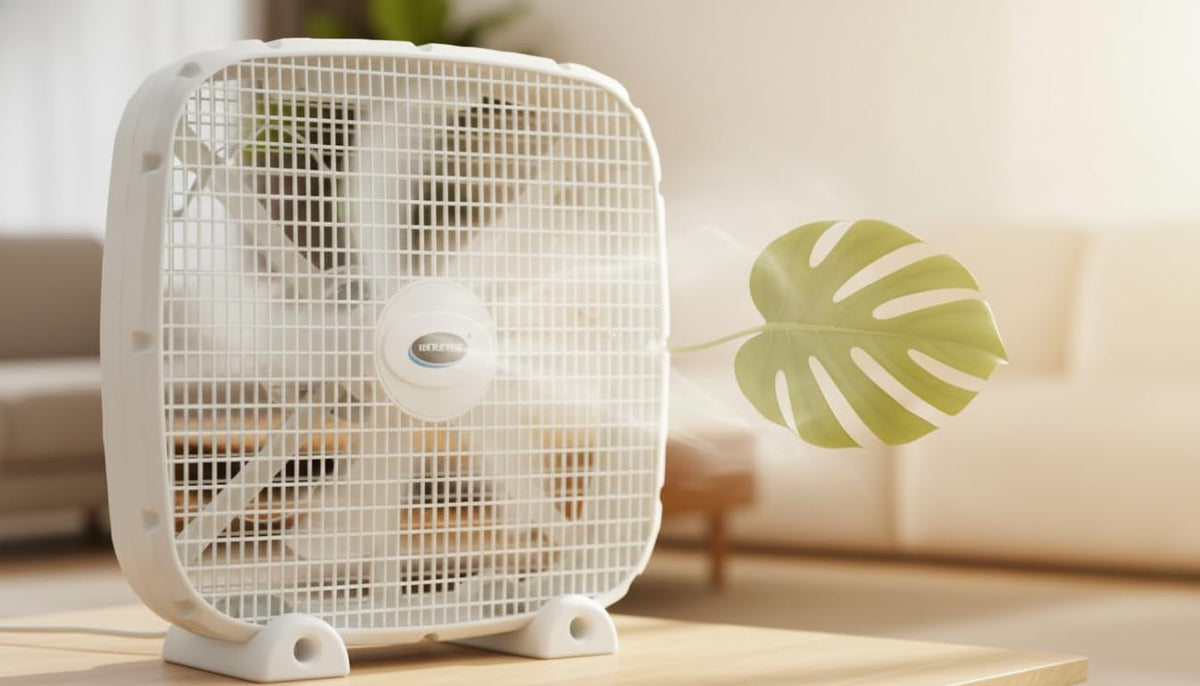 3-Speed Box Fan with Carry Handle, 5 Blades, 20-Inch, White Q880786