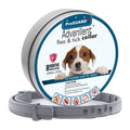 Flea and Tick Collar for Small Dogs, 15.5inch, 8 Month Protection, Gray P58718