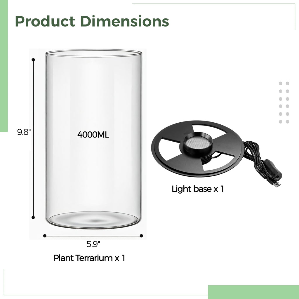 Glass Plant Terrarium with Grow Light 10 X 6IN N8529