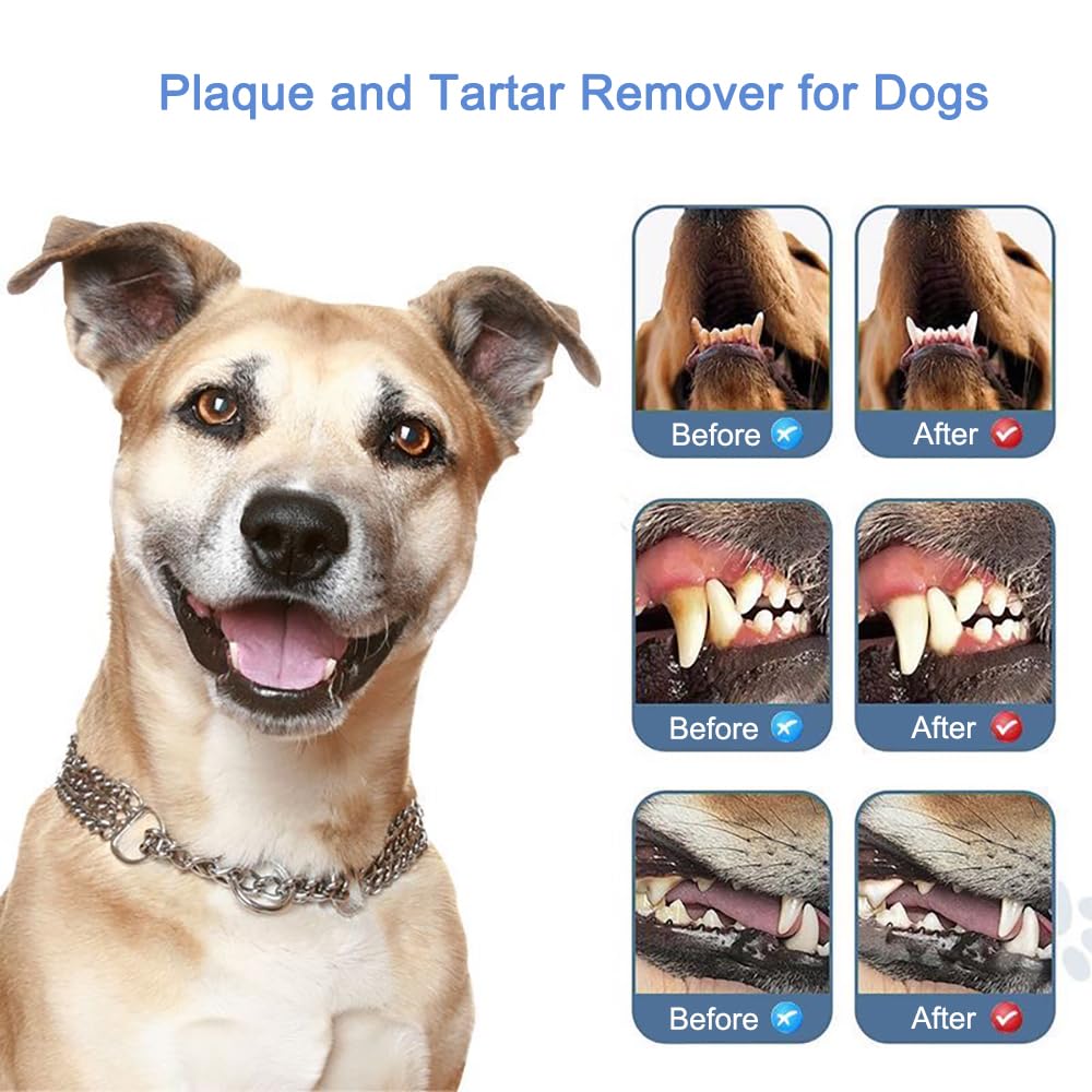 Pet Ultrasonic Tooth Cleaner with 3 Adjustable Modes B4860