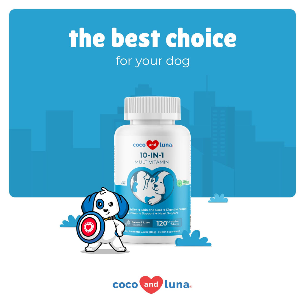 10 in 1 Multivitamin for Dogs X4094