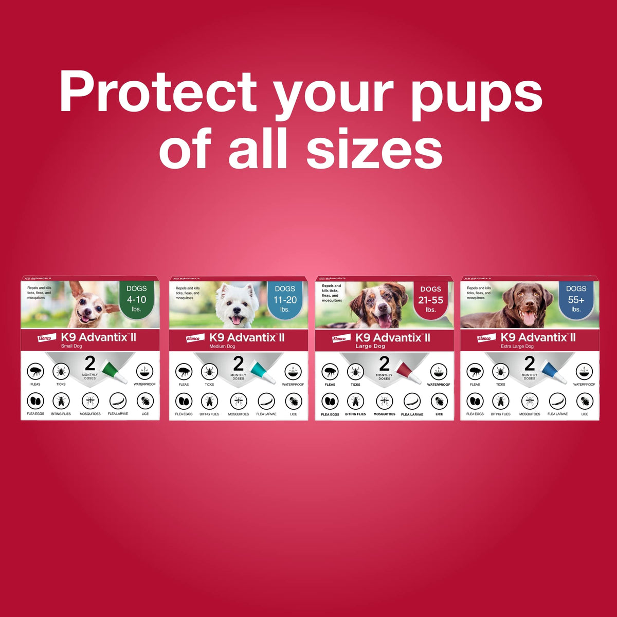 Flea & Tick Topical for Large Dogs 21–55 lbs., 2ct L964911