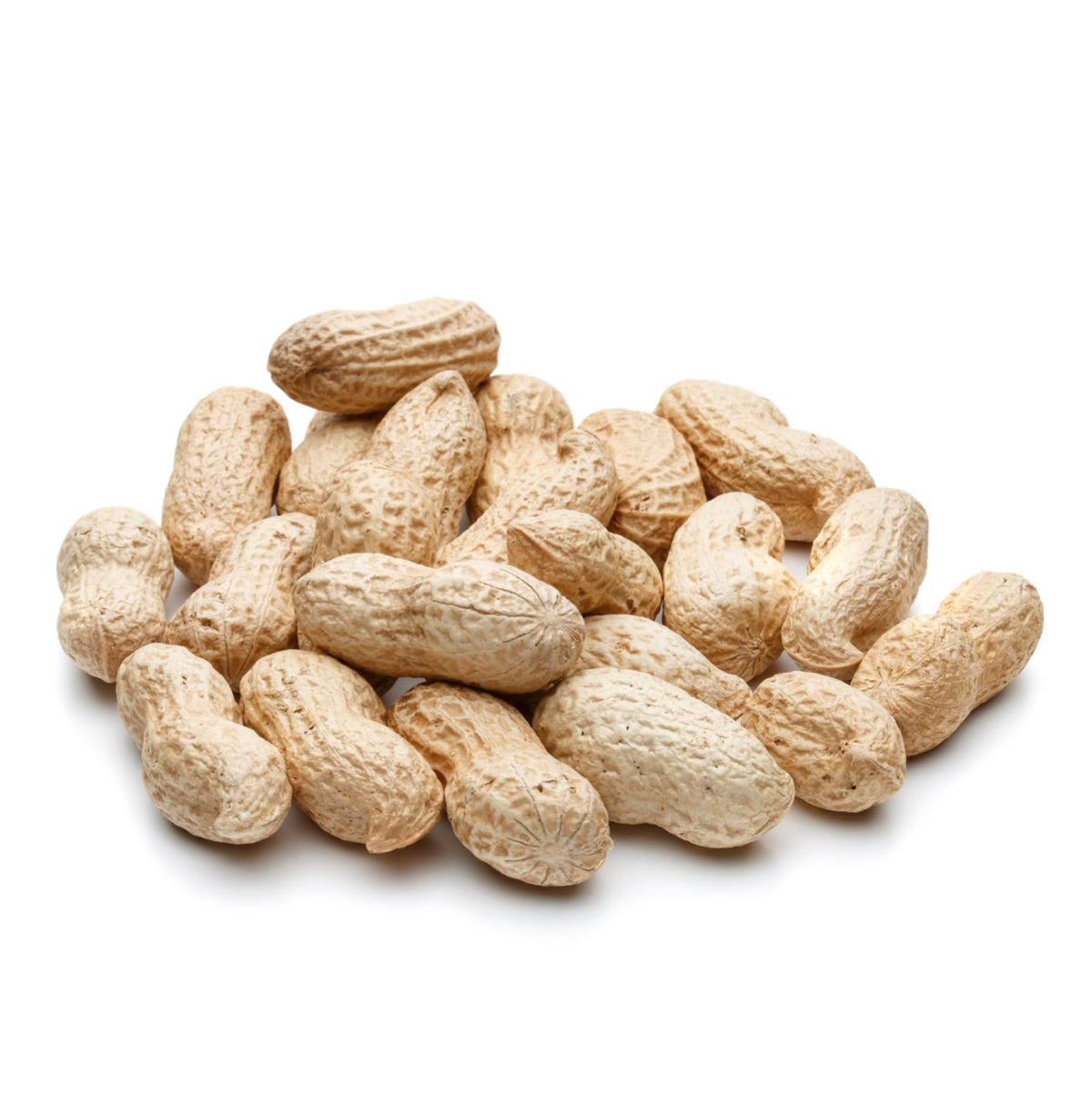 Raw Peanuts 50 LBS J540827