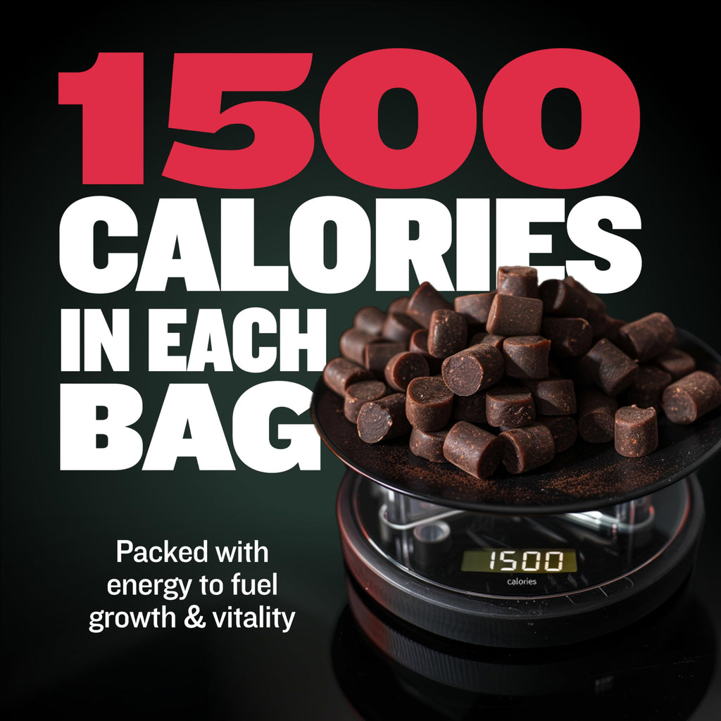 Liquid Muscle Builder & Weight Gainer Soft Chews W389