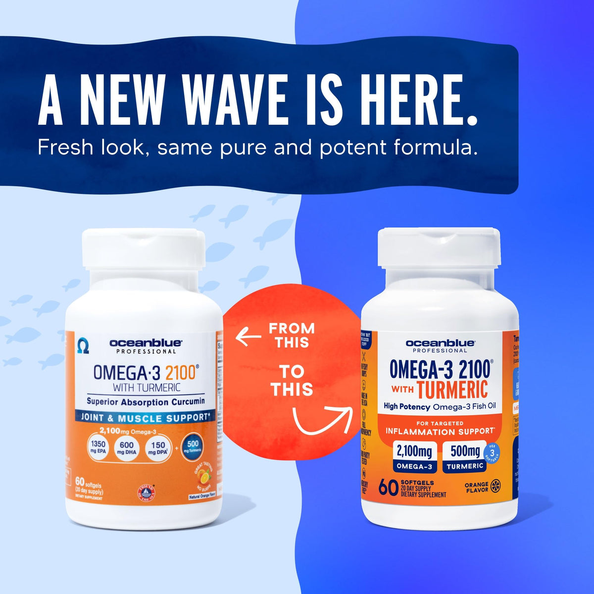 Omega-3 with Turmeric 60 Softgels O843826