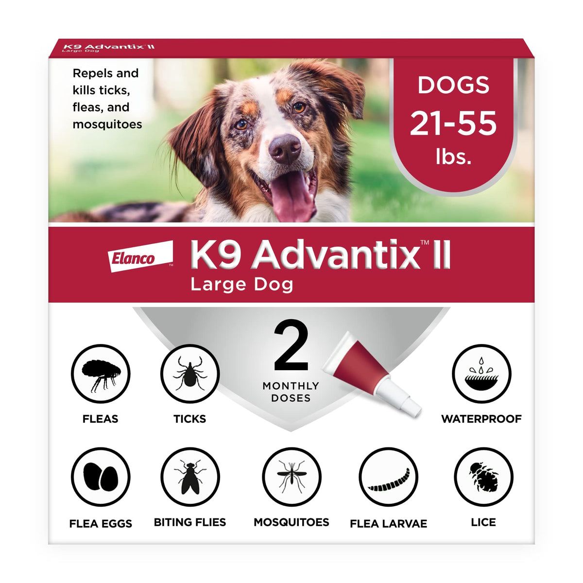Flea & Tick Topical for Large Dogs 21–55 lbs., 2ct L964911