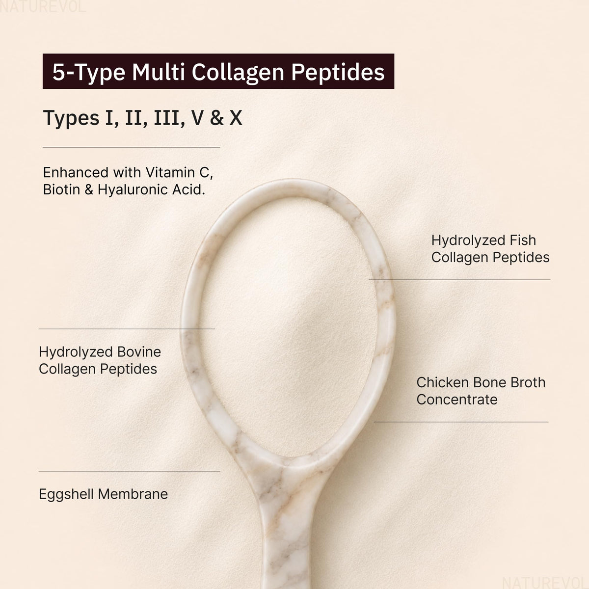Multi Collagen Peptides Powder 1 lb Unflavored B64188