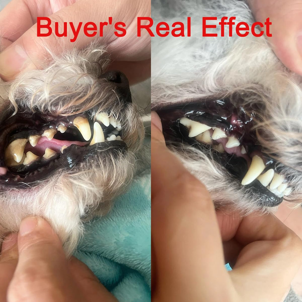 Pet Ultrasonic Tooth Cleaner with 3 Adjustable Modes B4860