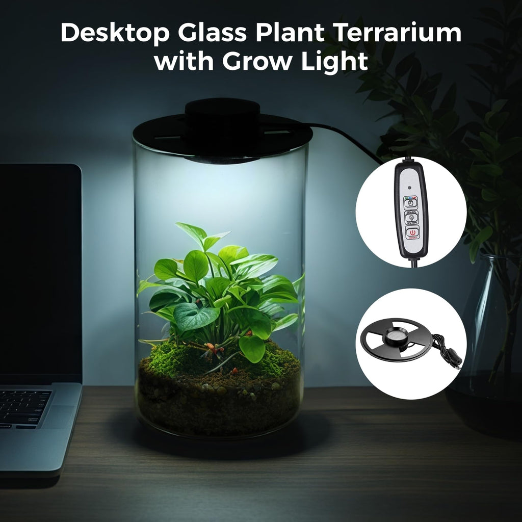Glass Plant Terrarium with Grow Light 10 X 6IN N8529
