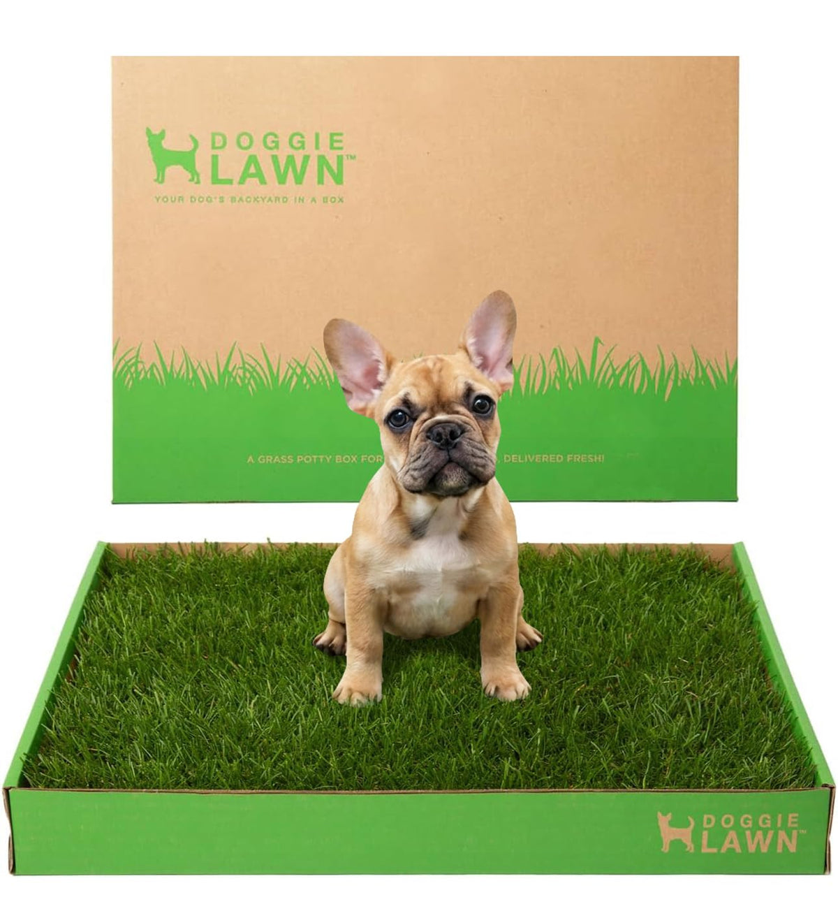 Real Grass Puppy Pads Medium 24x20 E81616