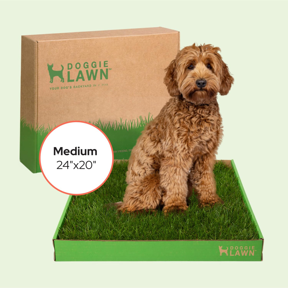 Real Grass Puppy Pads Medium 24x20 E81616