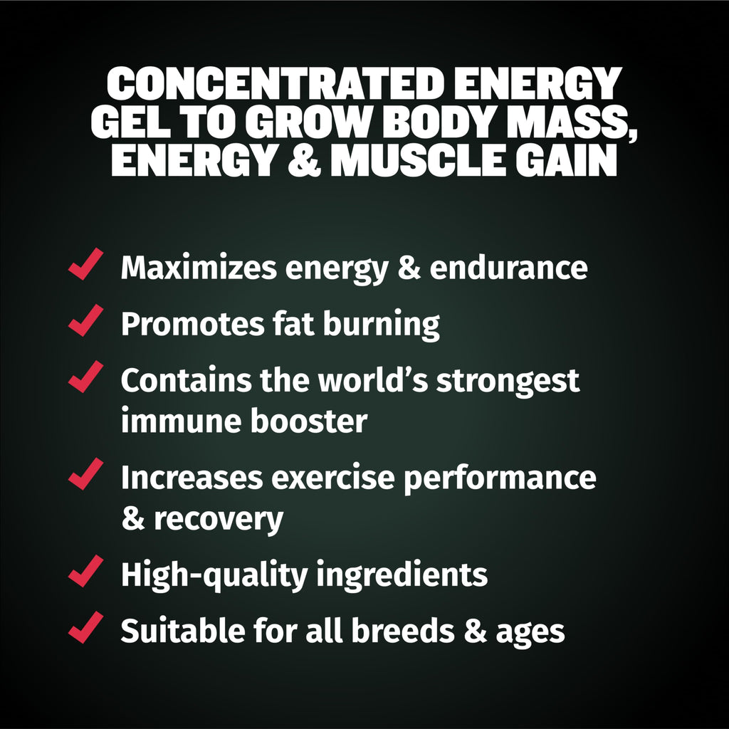 Liquid Muscle Builder & Weight Gainer Soft Chews W389