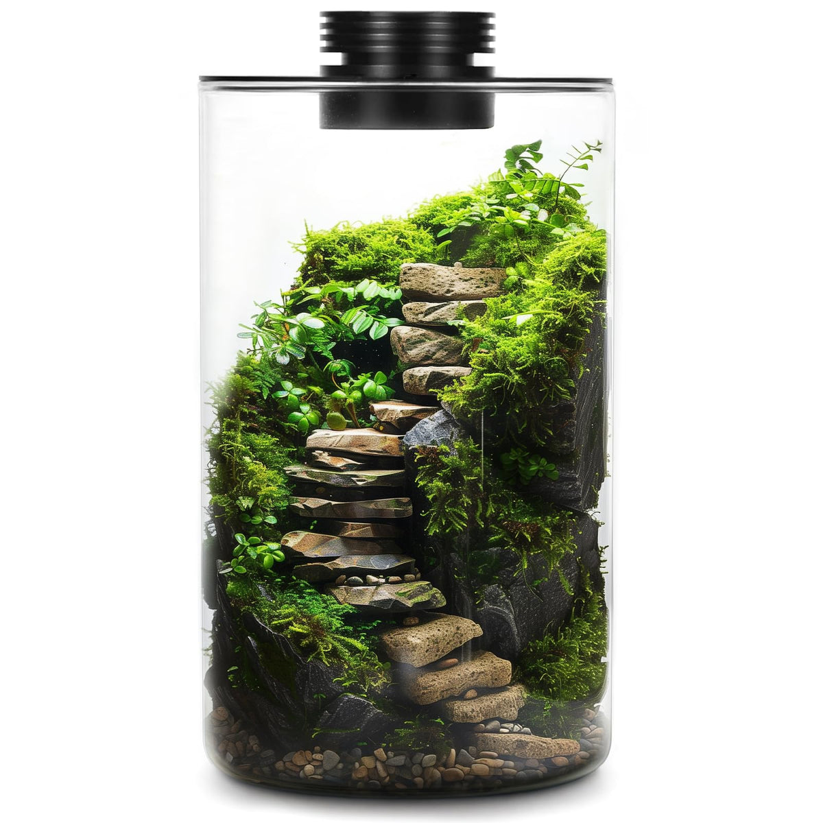 Glass Plant Terrarium with Grow Light 10 X 6IN N8529