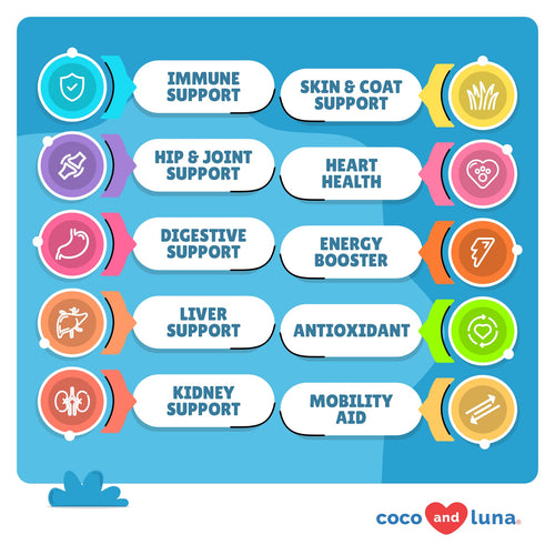 10 in 1 Multivitamin for Dogs X4094