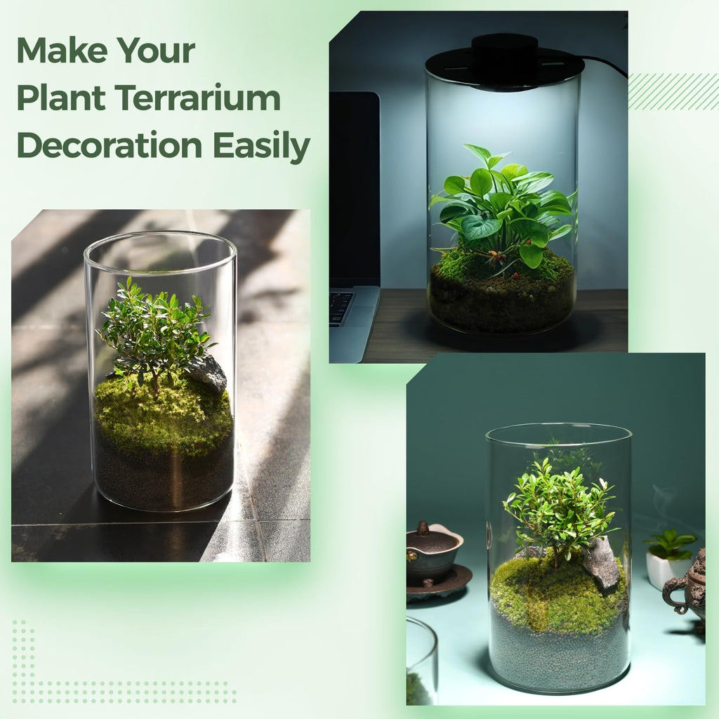 Glass Plant Terrarium with Grow Light 10 X 6IN N8529