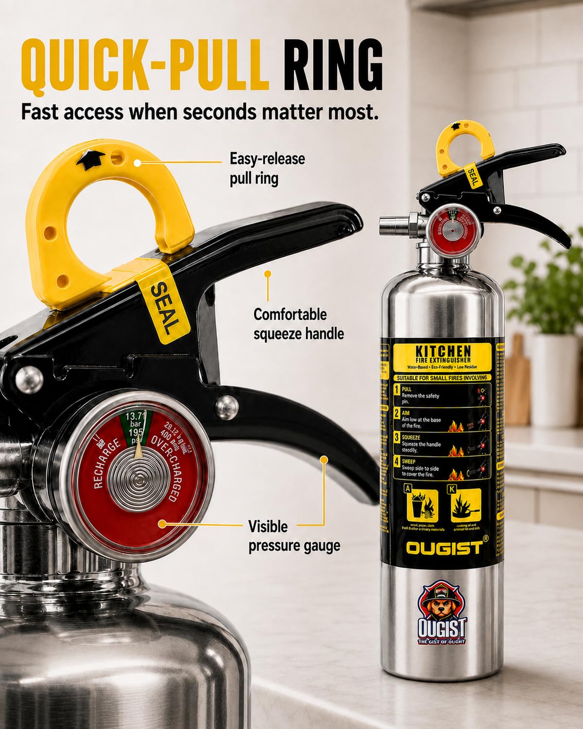 Class K Fire Extinguisher 34 Fl Oz Wet Chemical K125651