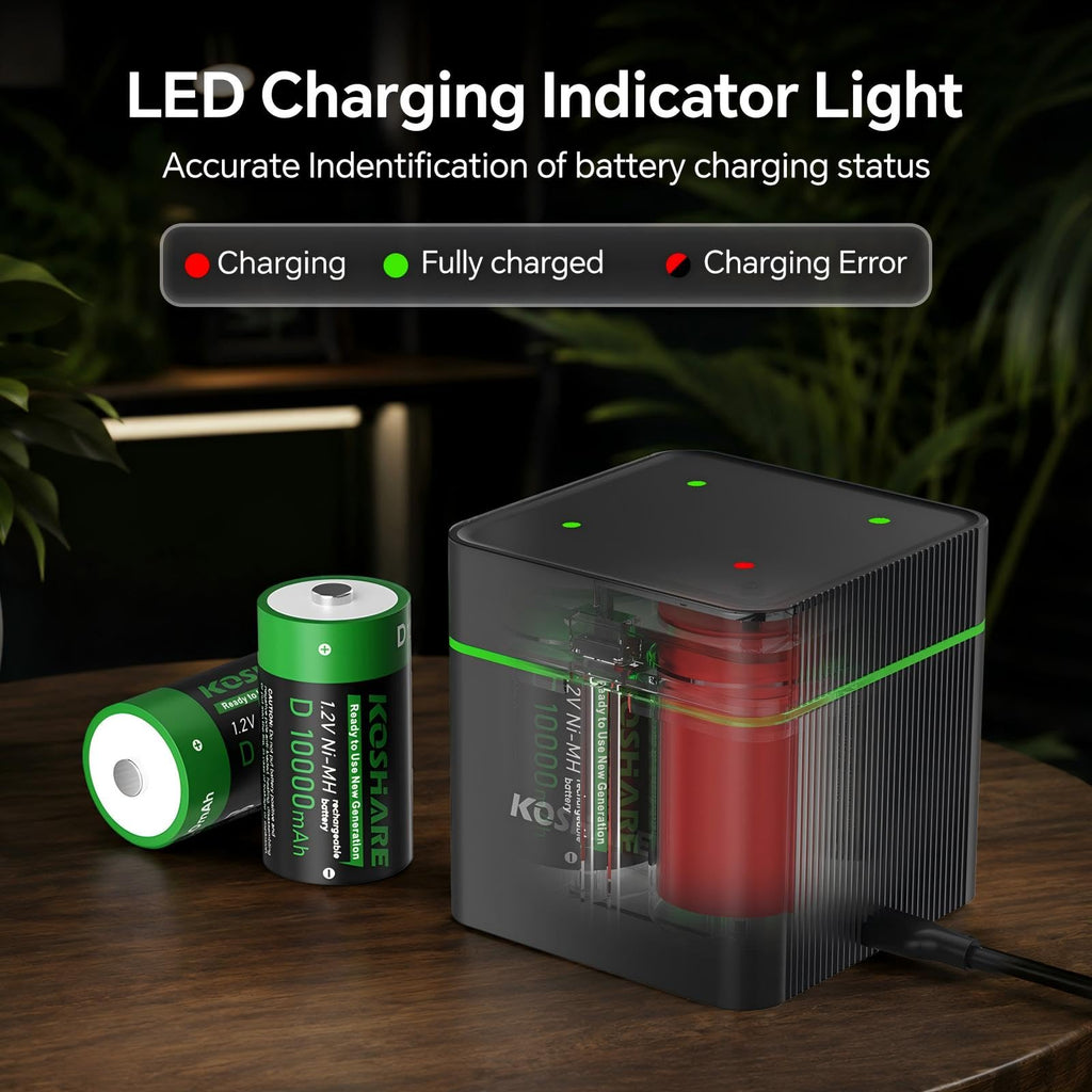 4 Pack 10000mAh Rechargeable NiMH D Cell Batteries with Charger F503492