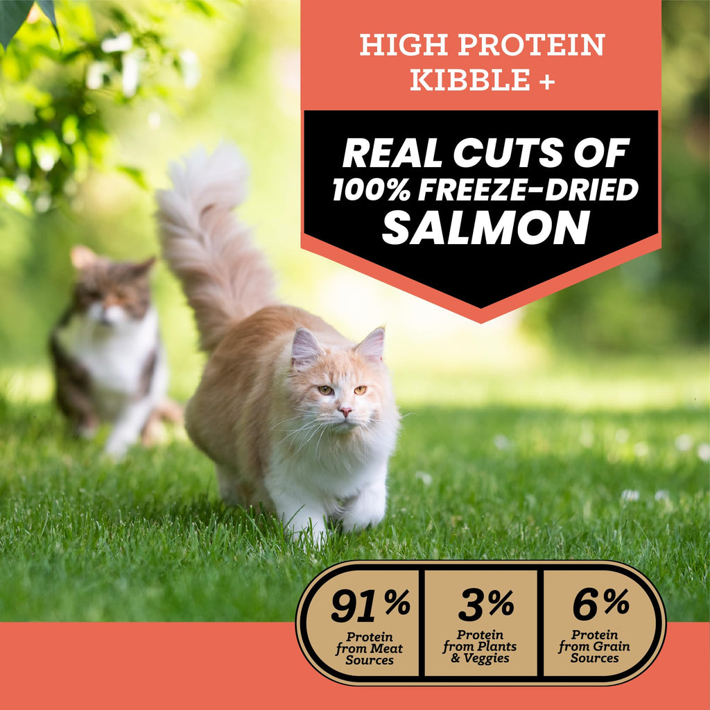 Salmon Freeze-Dried Dry Cat Food 4 lb U9538