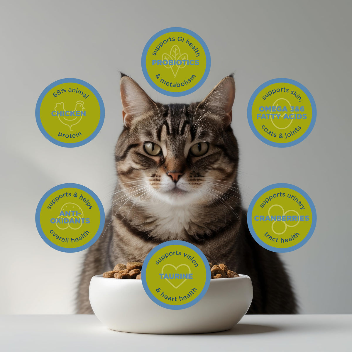 Dry Cat Food, Chicken Meal & Brown Rice, 4 lb W977