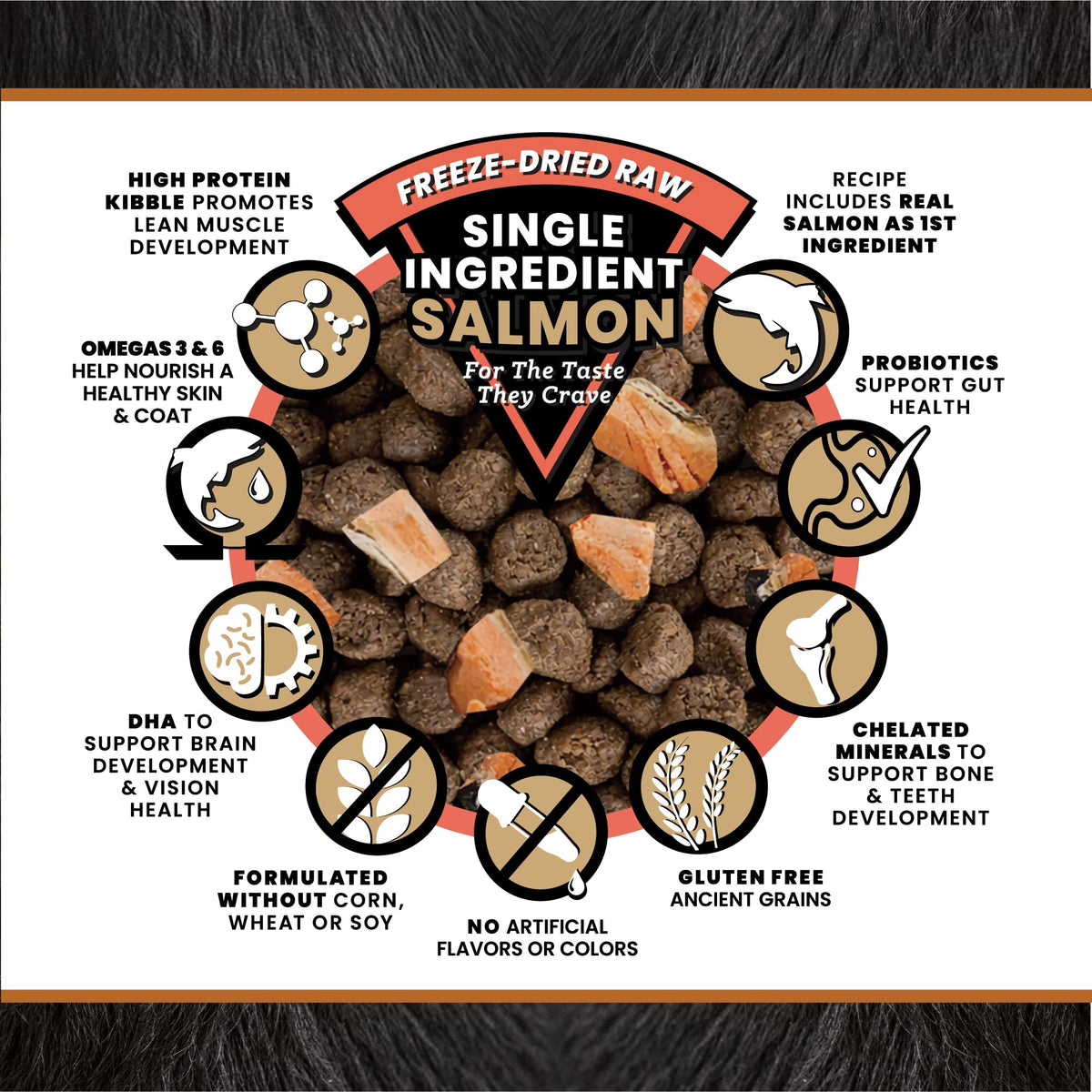 Salmon Freeze-Dried Dry Cat Food 4 lb U9538