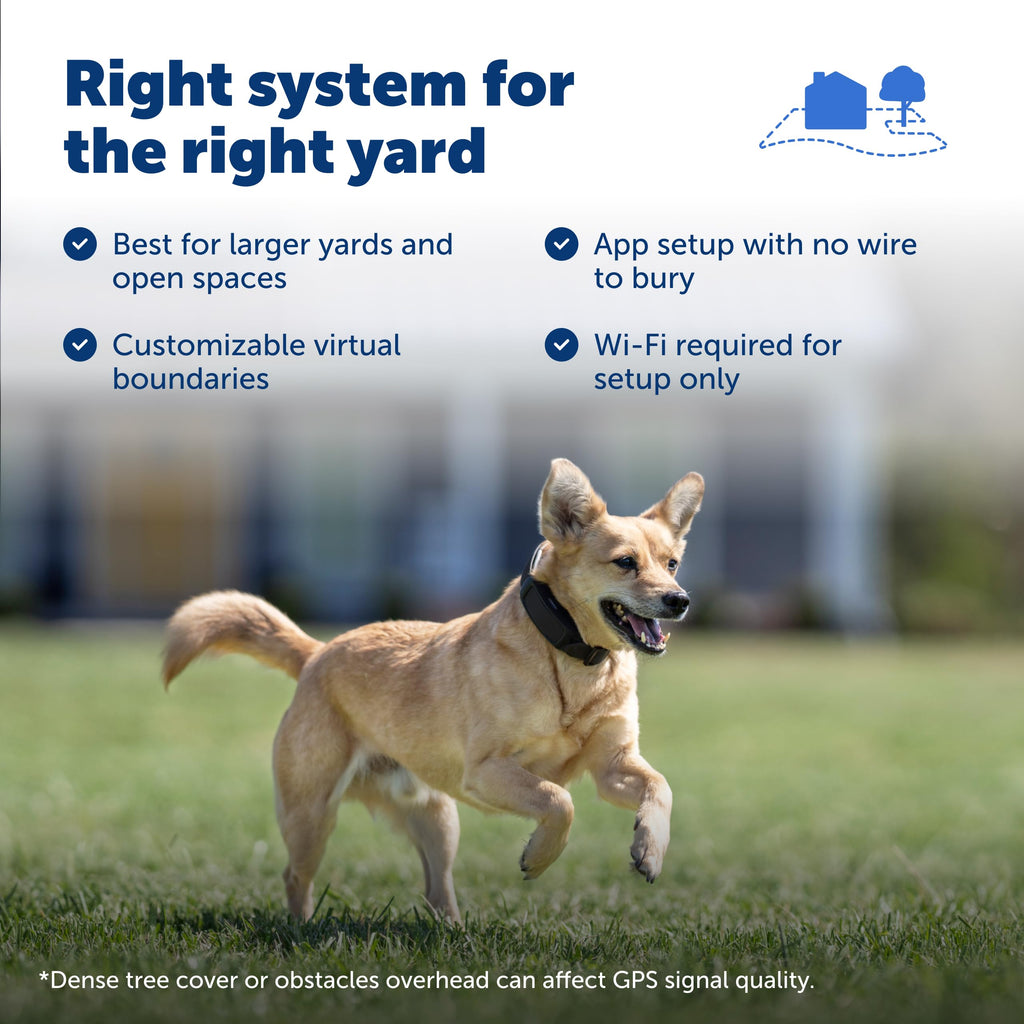 GPS Dog Fence K945621