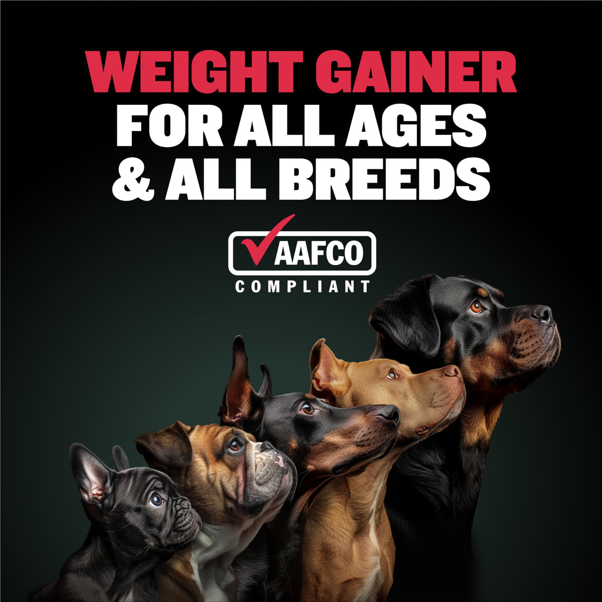 Liquid Muscle Builder & Weight Gainer Soft Chews W389