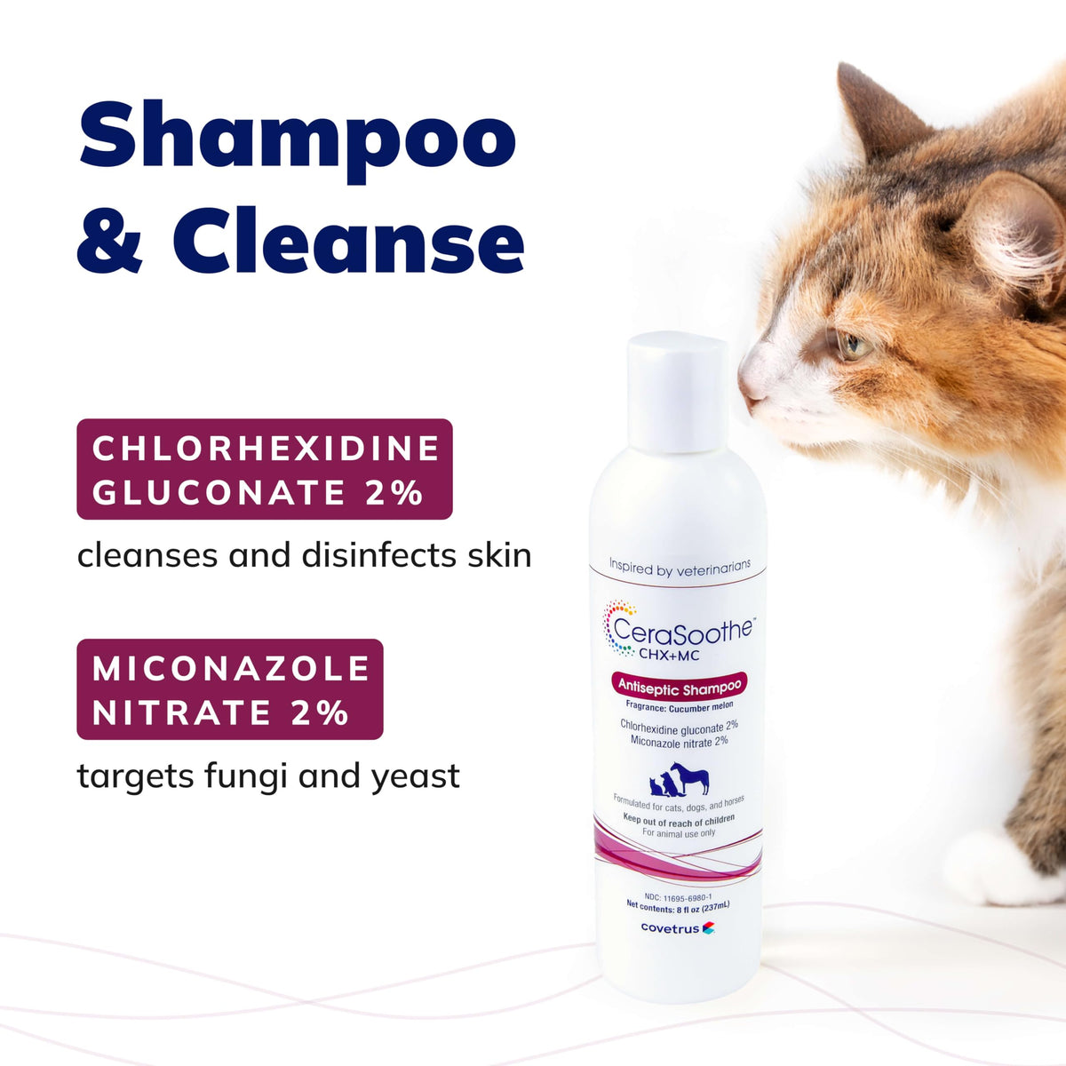 Chlorhexidine & Miconazole Antiseptic Shampoo 16 oz B302
