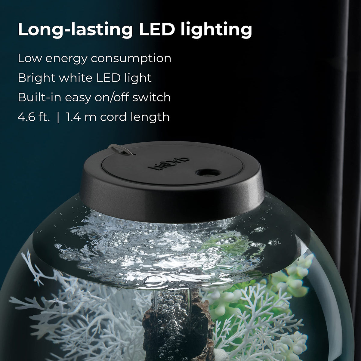 15 Acrylic Aquarium with White LED Lights I735656
