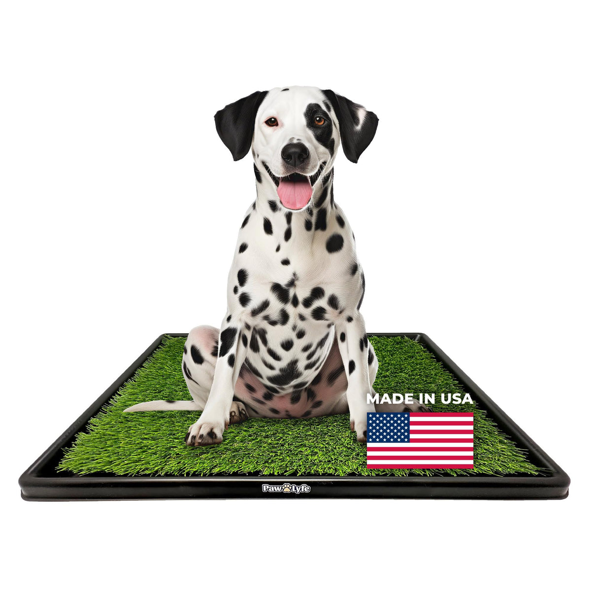 Artificial Grass Dog Potty with Tray W1667