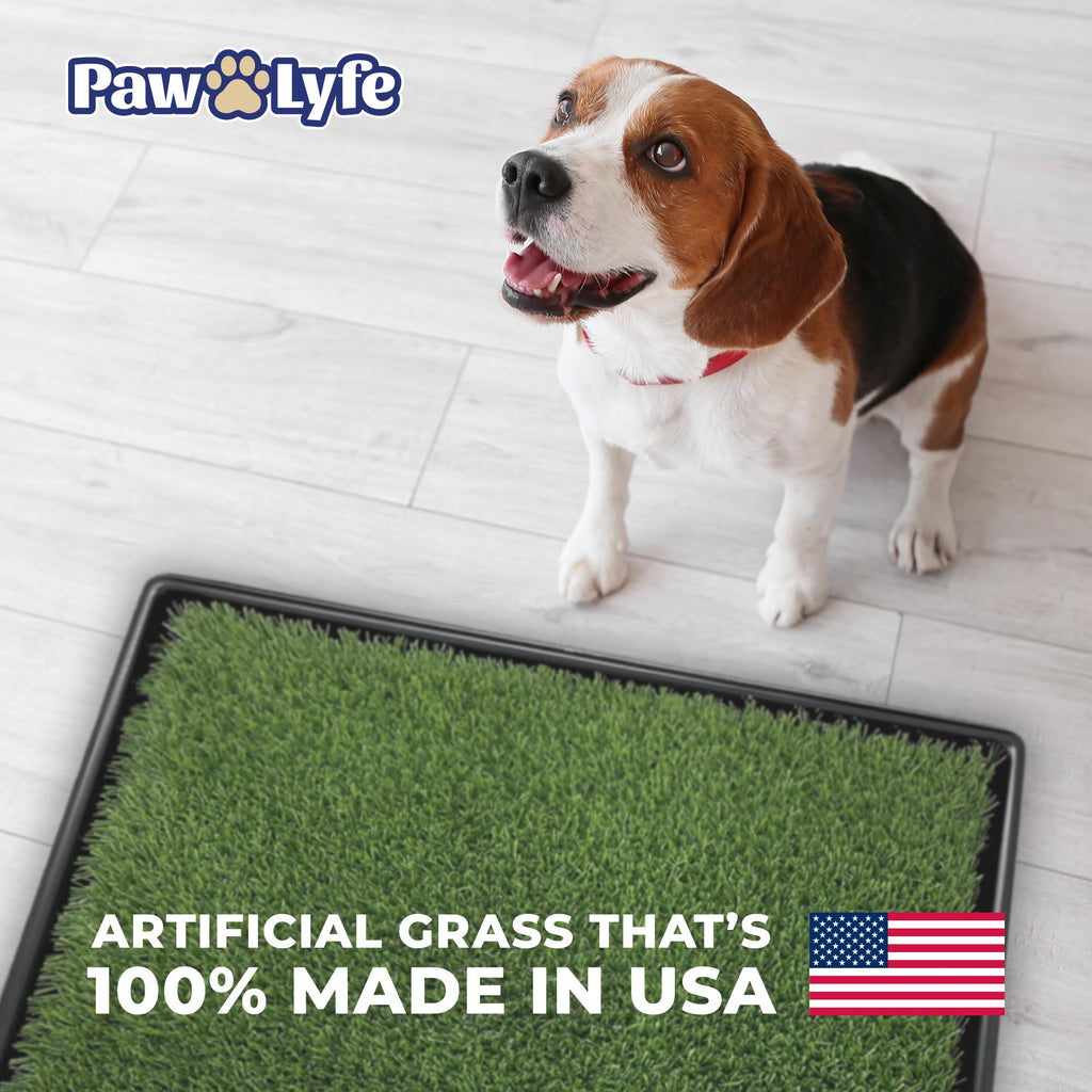 Artificial Grass Dog Potty with Tray W1667
