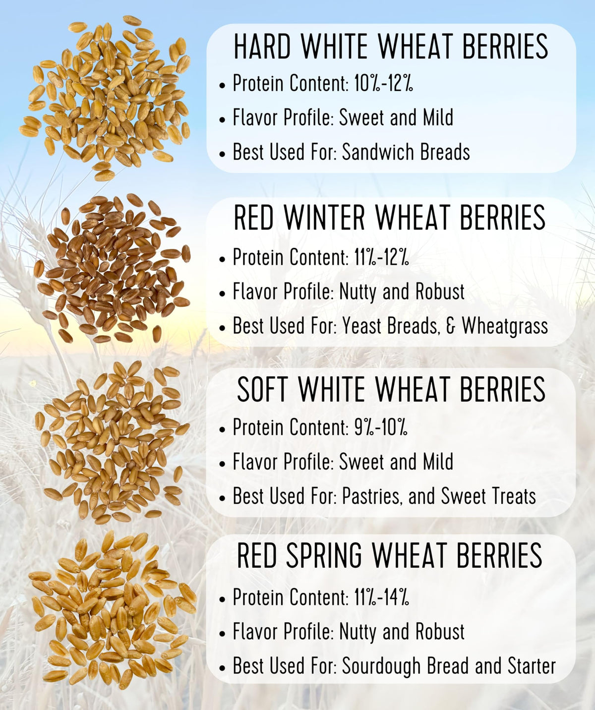 Hard Red Winter Wheat Berries 25 LBS Bucket Q646996