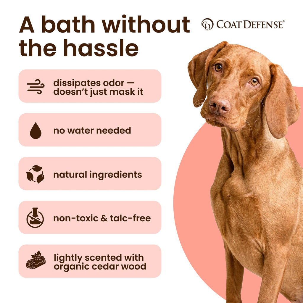 3.5 oz Waterless Dog Shampoo & Pet Deodorizer J606848