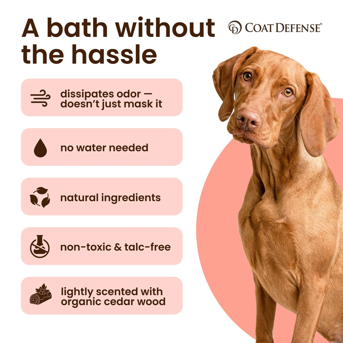 3.5 oz Waterless Dog Shampoo & Pet Deodorizer J606848