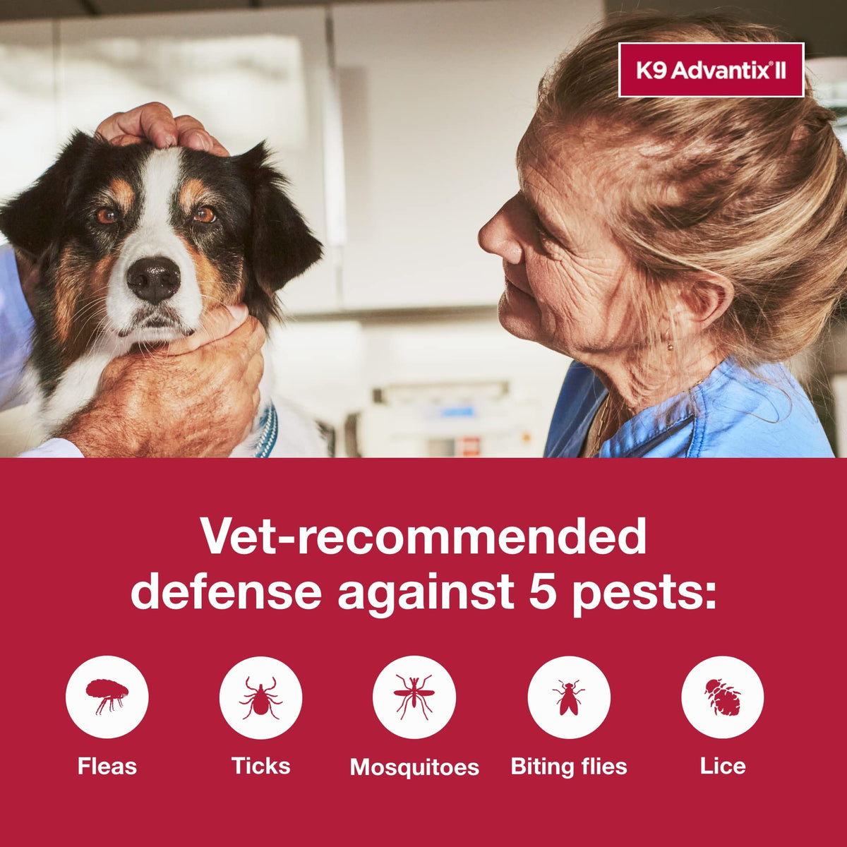 Flea & Tick Topical for Large Dogs 21–55 lbs., 2ct L964911