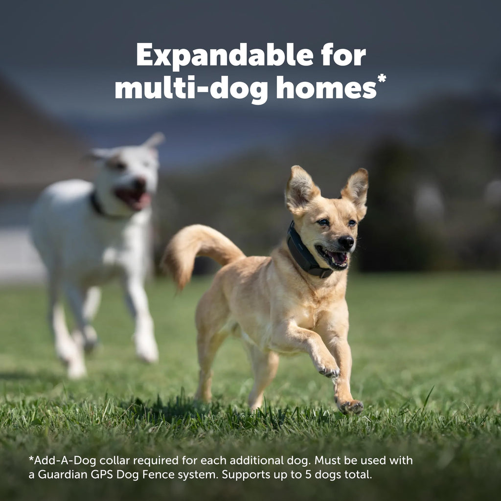 GPS Dog Fence K945621