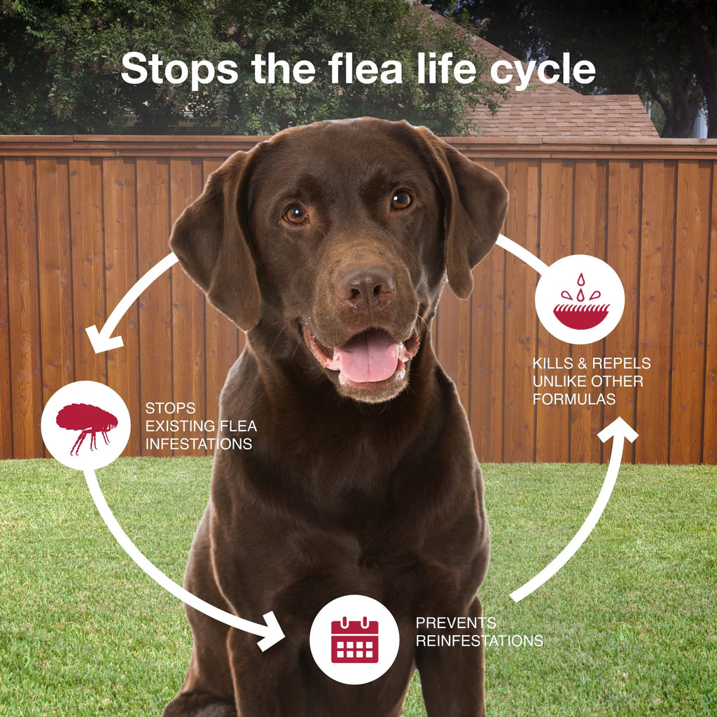 Flea & Tick Topical for Large Dogs 21–55 lbs., 2ct L964911